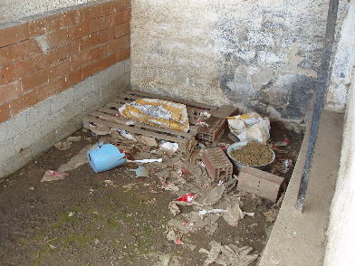 A typical scene from dog pound outside Kilkis