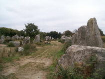 Lines of menhir at Kerzerho