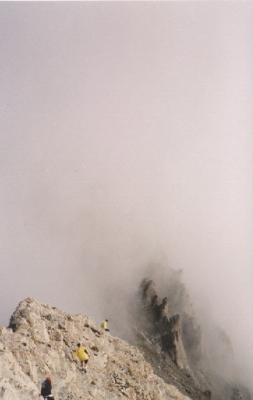 00290.jpg - 18744 Bytes