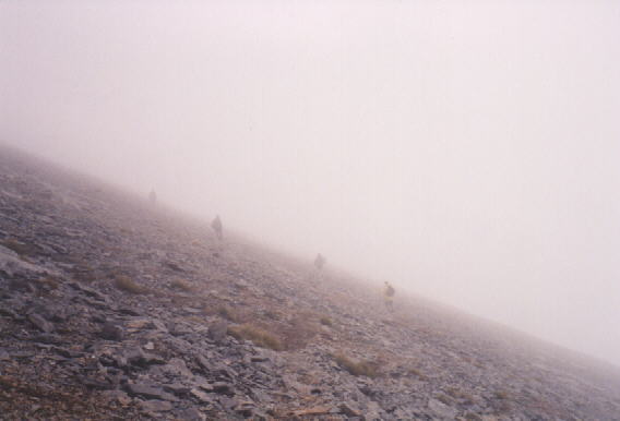 00315.jpg - 21053 Bytes